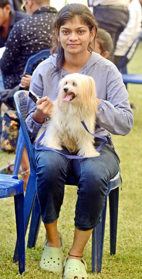 Dog Show Draws Huge Crowds In Visakhapatnam - Sakshi23