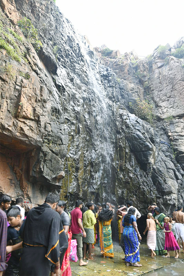 Karthika Somavaram 2022 Tirupati Kapileshwar Temple Deeparadhana - Sakshi27