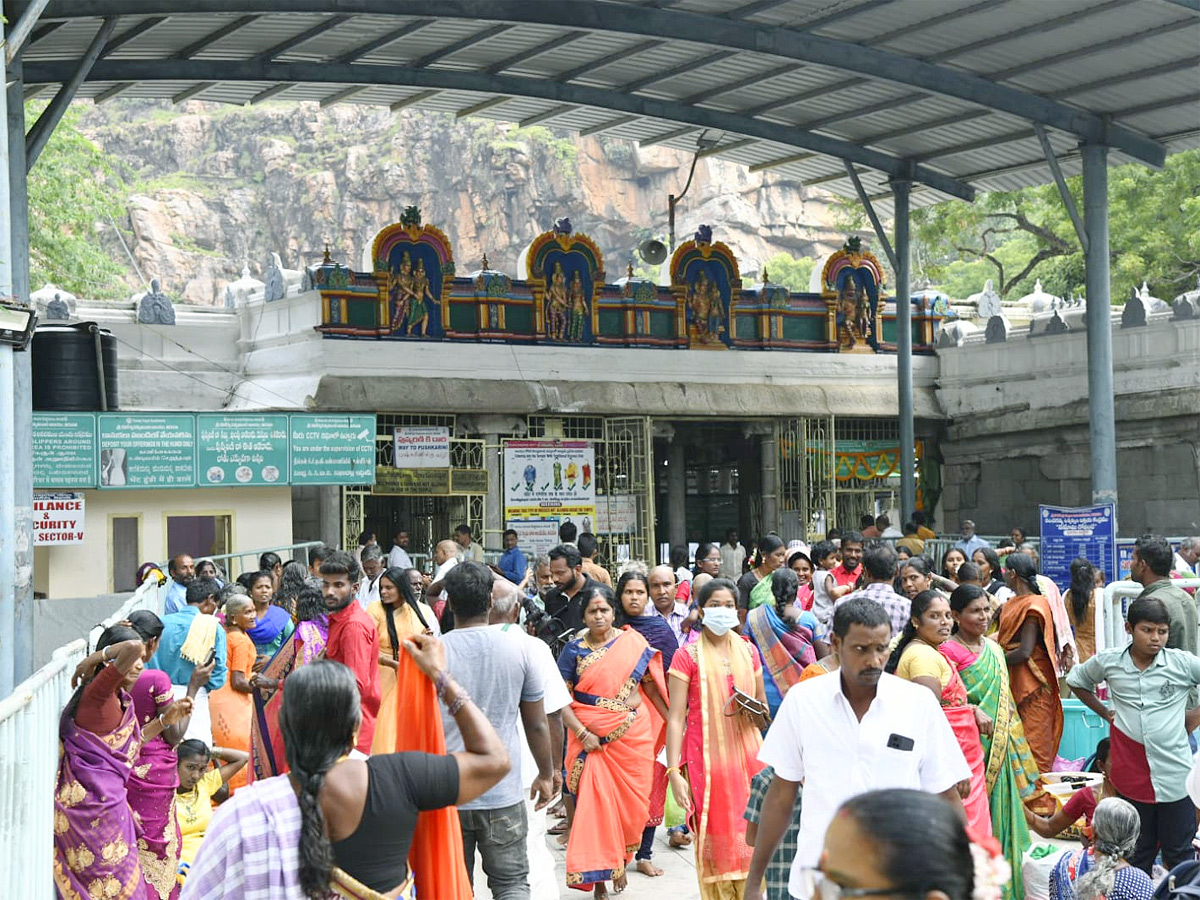 Karthika Somavaram 2022 Tirupati Kapileshwar Temple Deeparadhana - Sakshi8