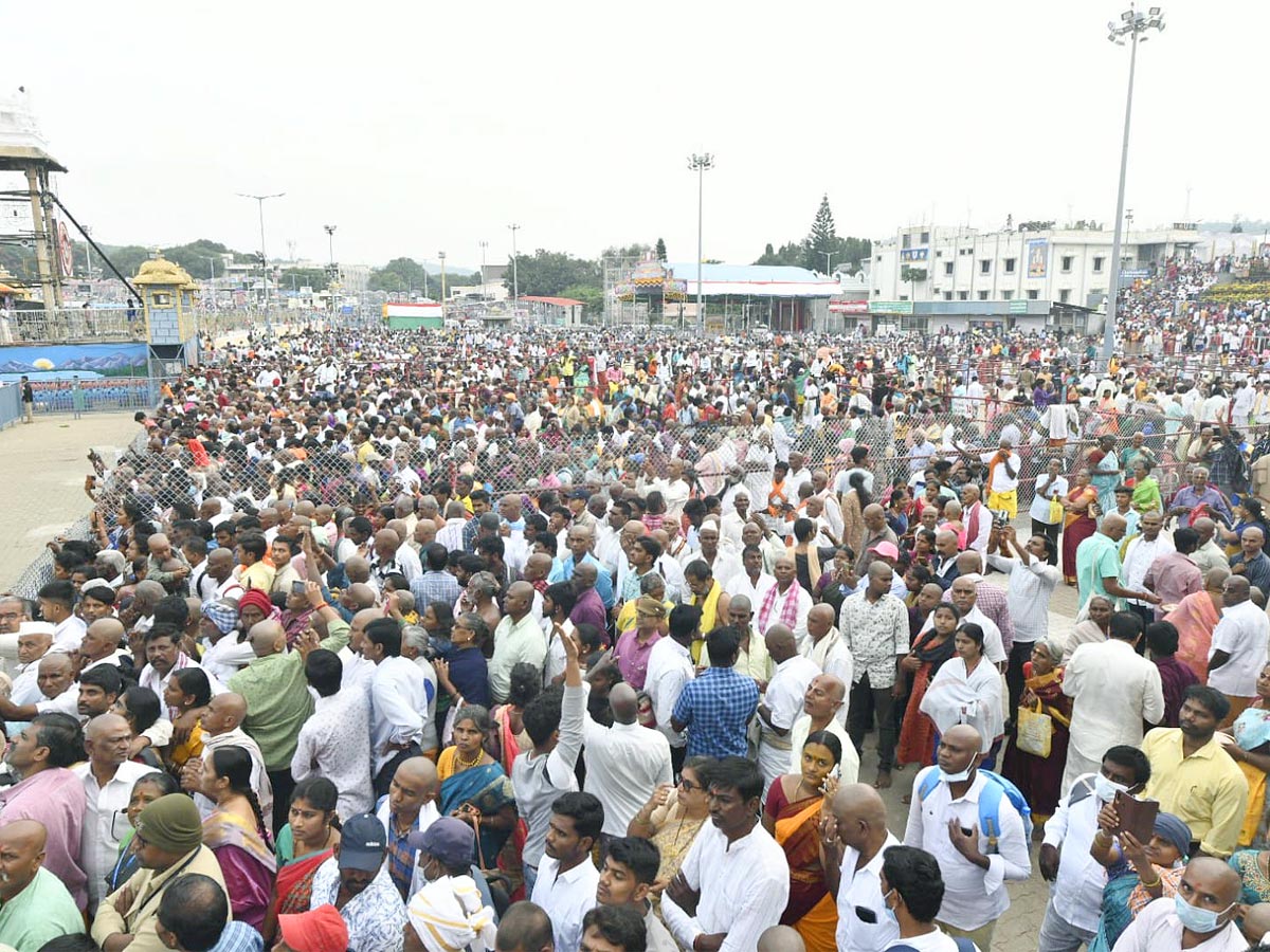 Tirumala Brahmotsavam 2022: Rathotsavam Grandly held in Tirumala - Sakshi16