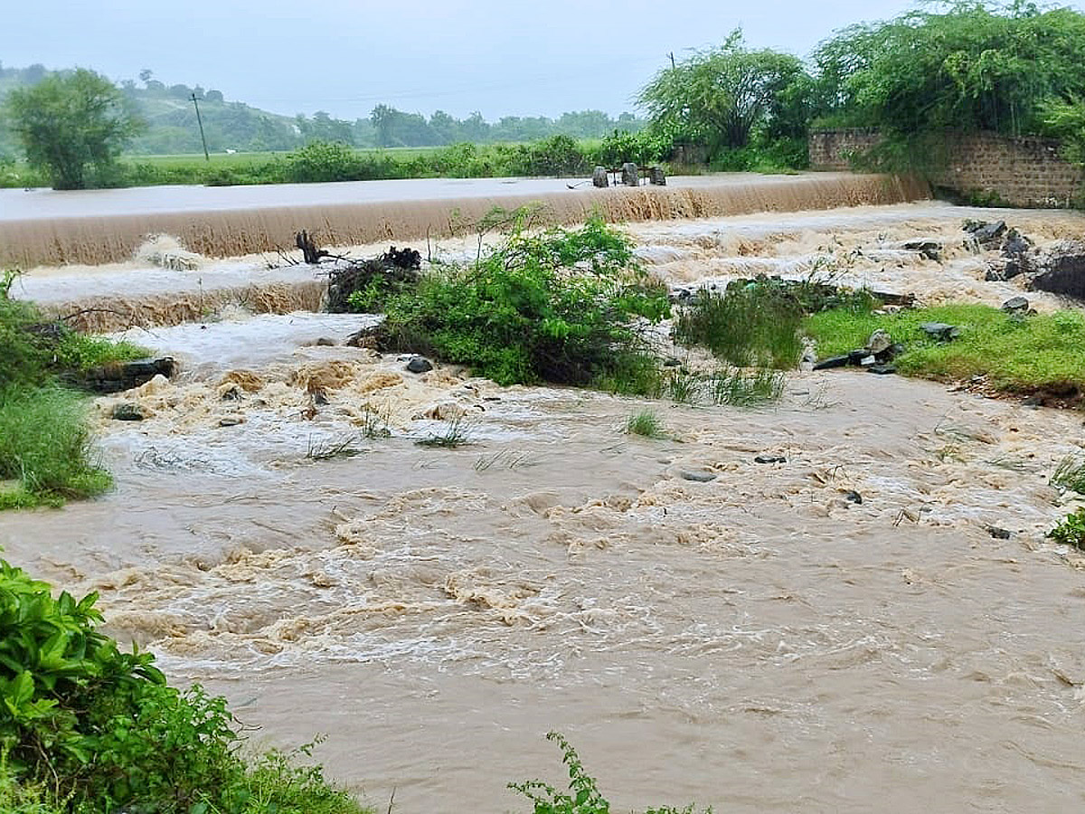 Heavy rains and thunderstorm in both Telugu states  - Sakshi10