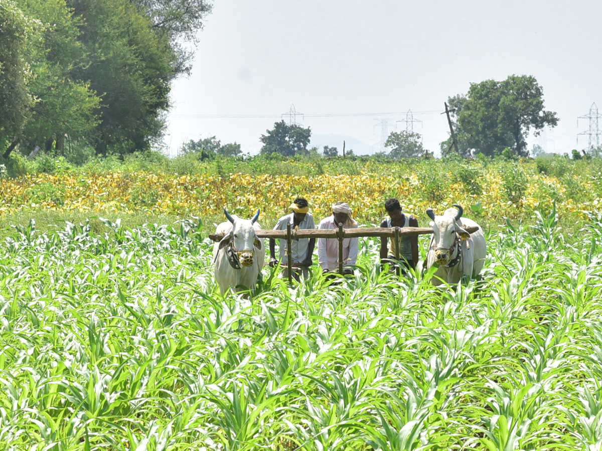 Best Photos of The Week in AP and Telangana Photo Gallery - Sakshi27