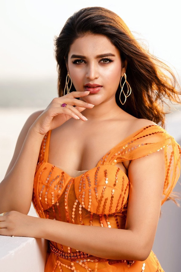 Nidhhi Agerwal Latest photos  - Sakshi3