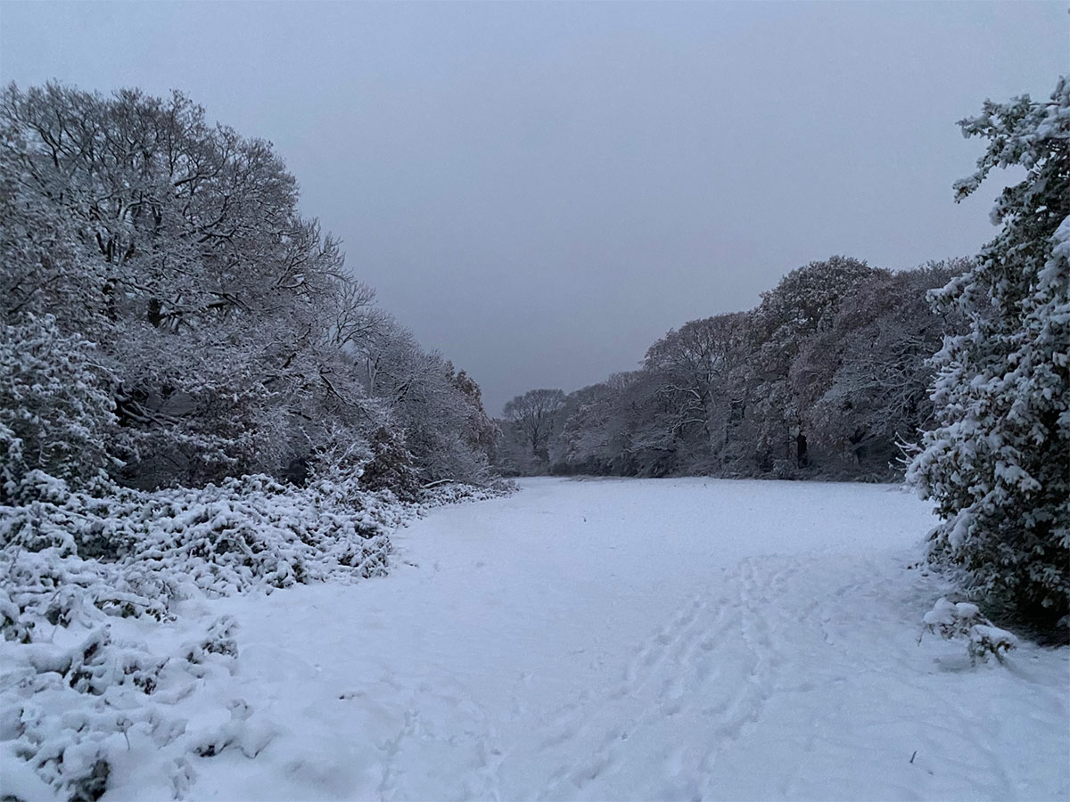 Heavy snow disrupts UK 2022 Photos - Sakshi24