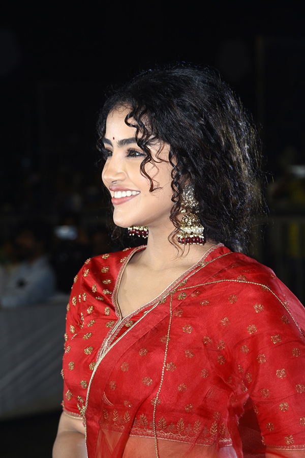 Actress Anupama Red Dress Images At Pages Pre Release - Sakshi14