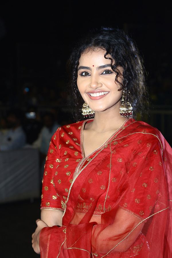 Actress Anupama Red Dress Images At Pages Pre Release - Sakshi15