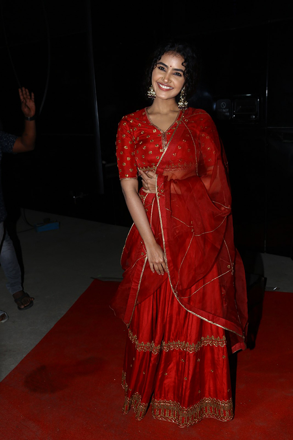 Actress Anupama Red Dress Images At Pages Pre Release - Sakshi16