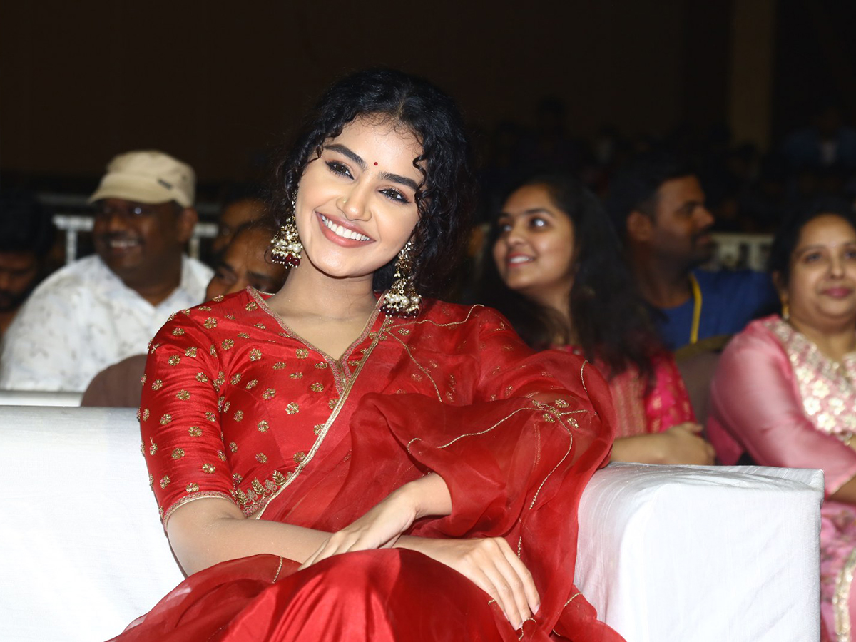 Actress Anupama Red Dress Images At Pages Pre Release - Sakshi2