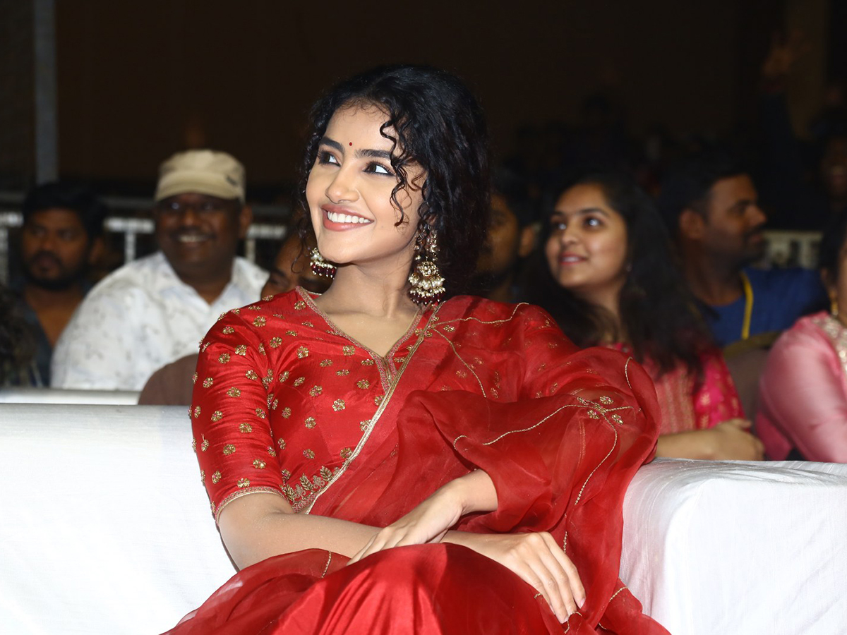 Actress Anupama Red Dress Images At Pages Pre Release - Sakshi3