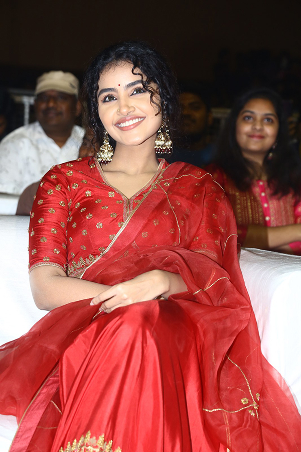 Actress Anupama Red Dress Images At Pages Pre Release - Sakshi4