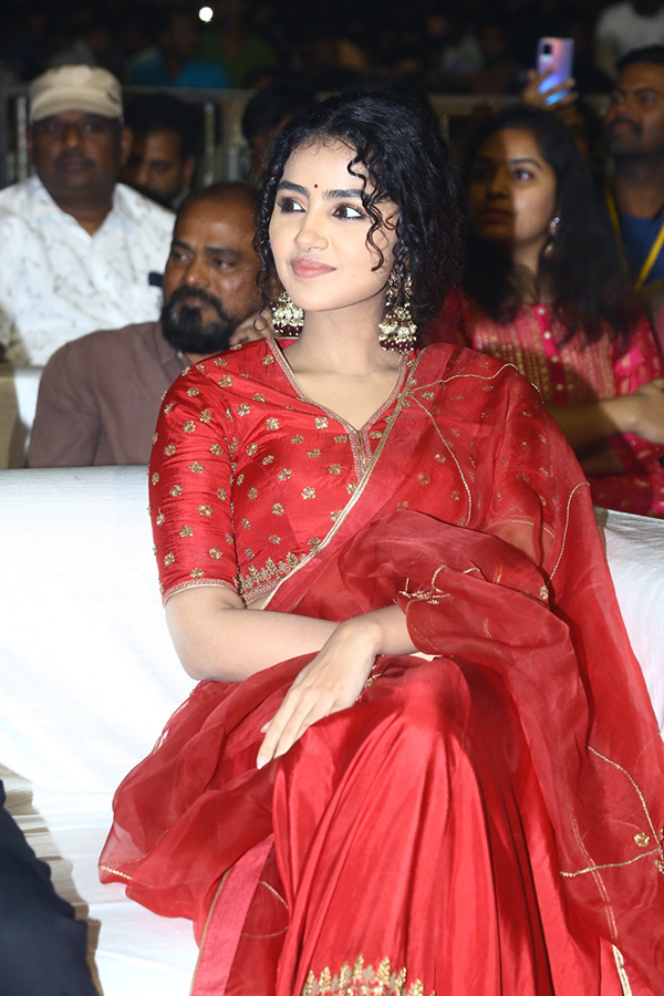 Actress Anupama Red Dress Images At Pages Pre Release - Sakshi5