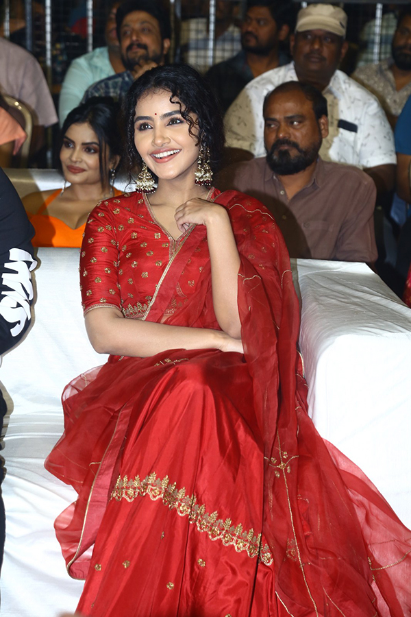 Actress Anupama Red Dress Images At Pages Pre Release - Sakshi7