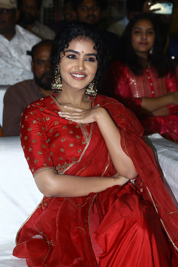 Actress Anupama Red Dress Images At Pages Pre Release - Sakshi9