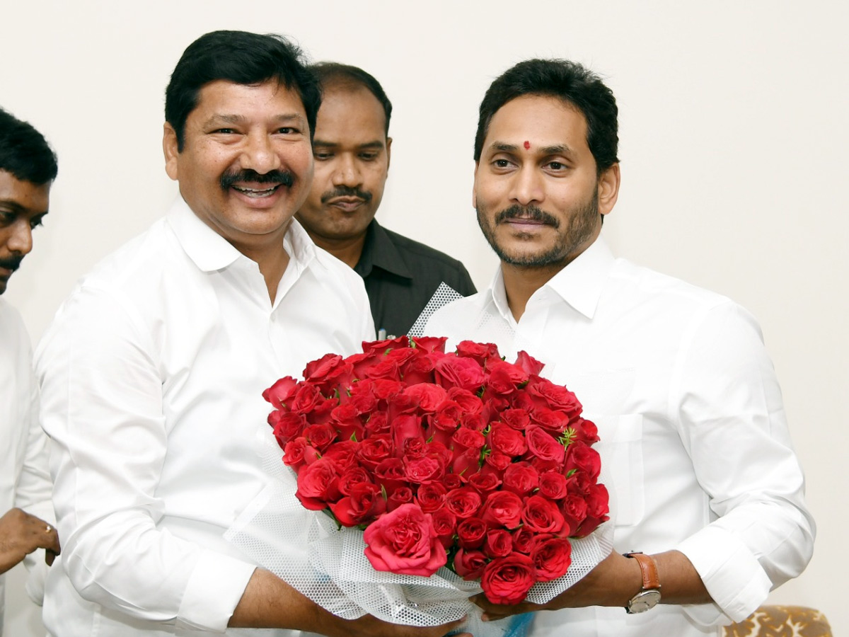 CM Jagan Birthday Celebrations At CM Camp Office   - Sakshi25