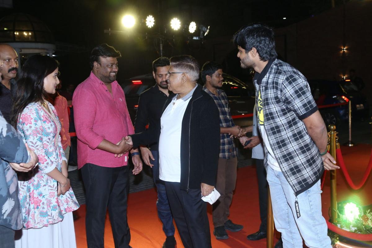 18 Pages Movie Success Celebrations - Sakshi11