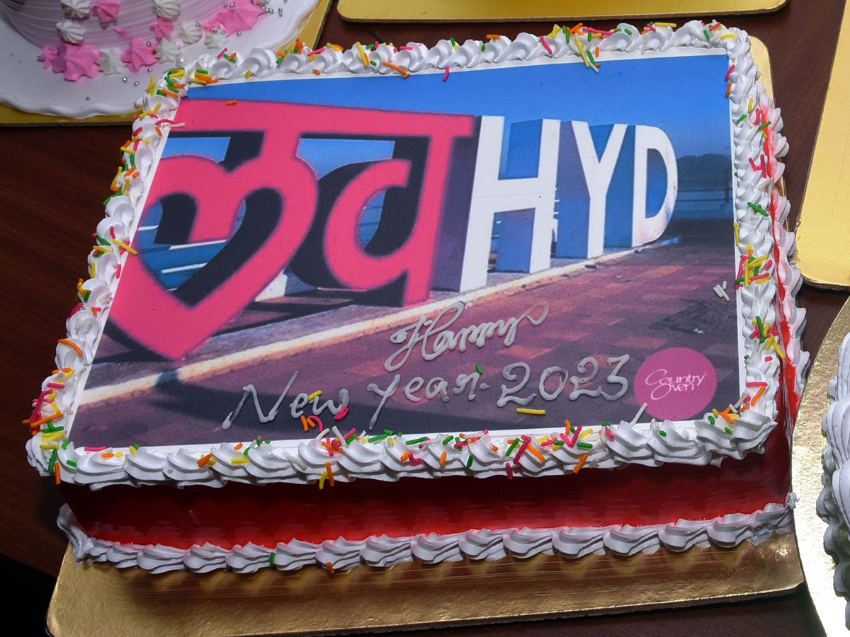 Different Cakes In New Year Party In Hyderabad - Sakshi13