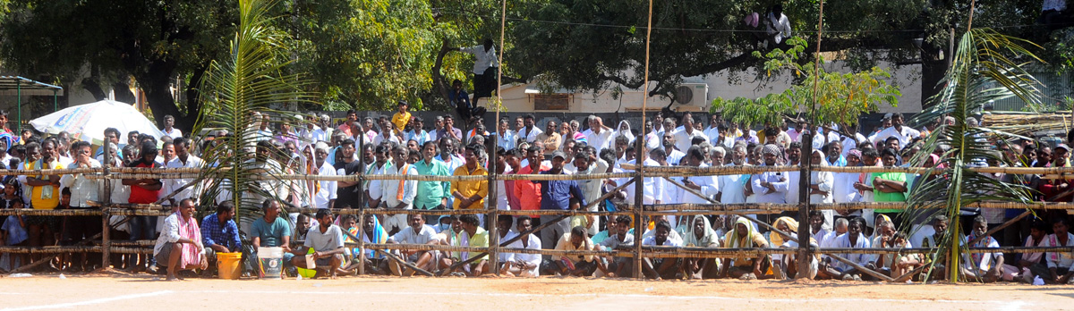 Ongole Bull Competitions Held | at Yemmiganur of Kurnool Dist - Sakshi6