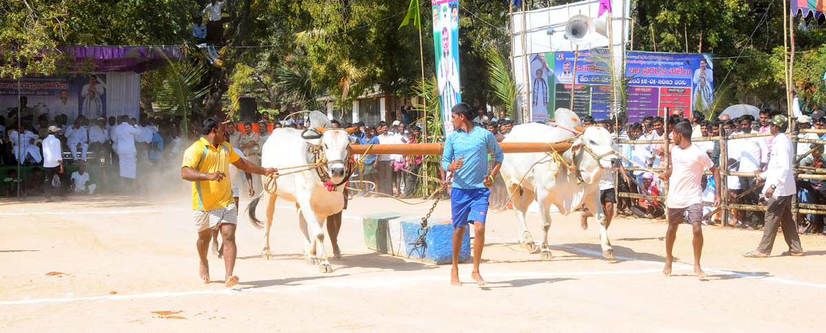 Ongole Bull Competitions Held | at Yemmiganur of Kurnool Dist - Sakshi7