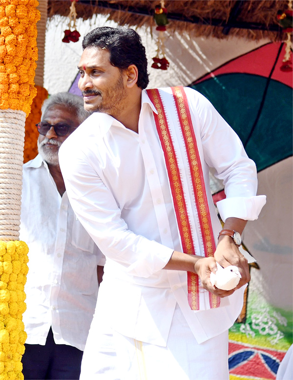 CM YS Jagan Sankranti Celebrations At Tadepalli Camp Office  - Sakshi38