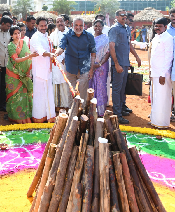 CM YS Jagan Sankranti Celebrations At Tadepalli Camp Office  - Sakshi10