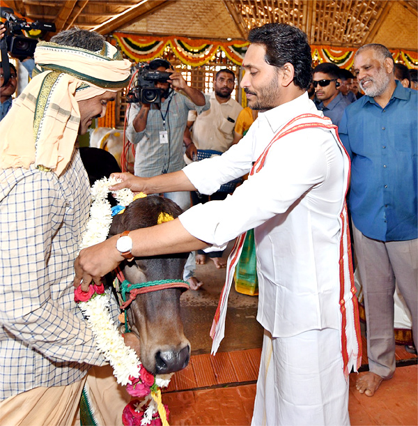 CM YS Jagan Sankranti Celebrations At Tadepalli Camp Office  - Sakshi44