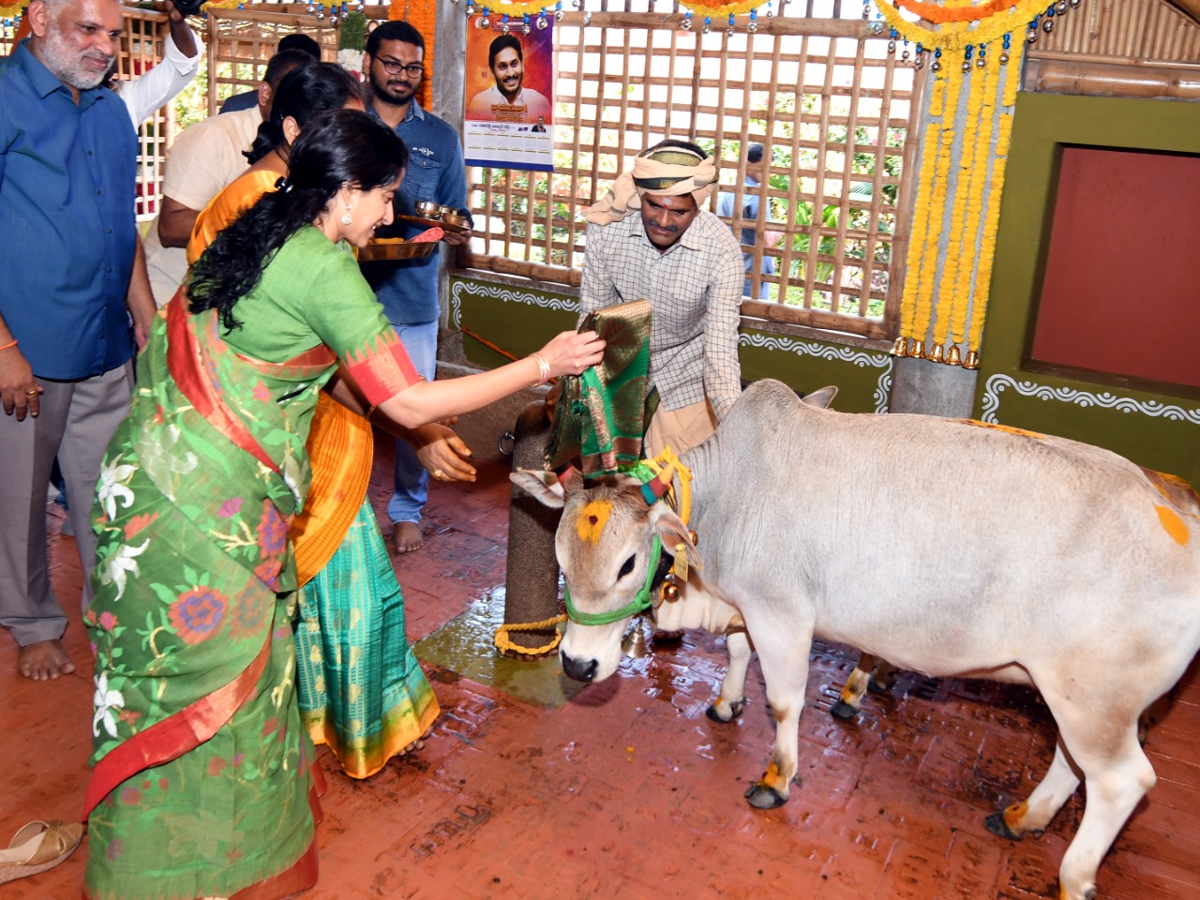 CM YS Jagan Sankranti Celebrations At Tadepalli Camp Office  - Sakshi24