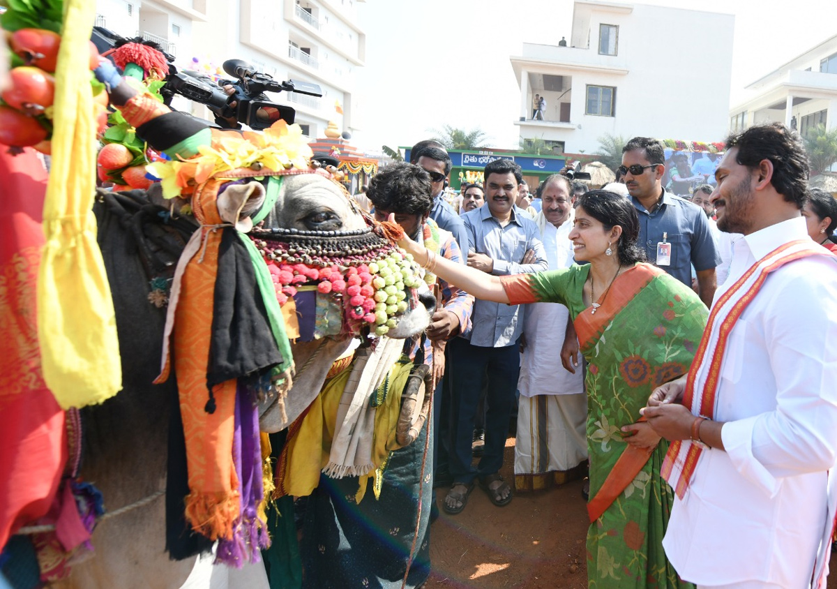 CM YS Jagan Sankranti Celebrations At Tadepalli Camp Office  - Sakshi32