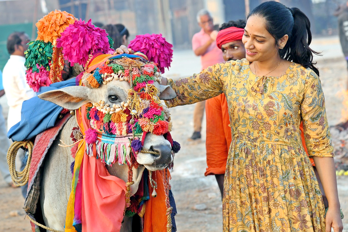 Bhogi Festival Celebrations In Vijayawada - Sakshi1