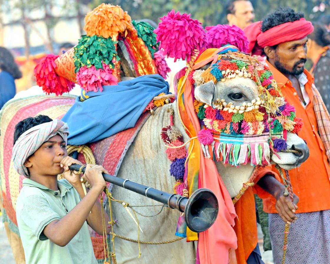 Bhogi Festival Celebrations In Vijayawada - Sakshi8