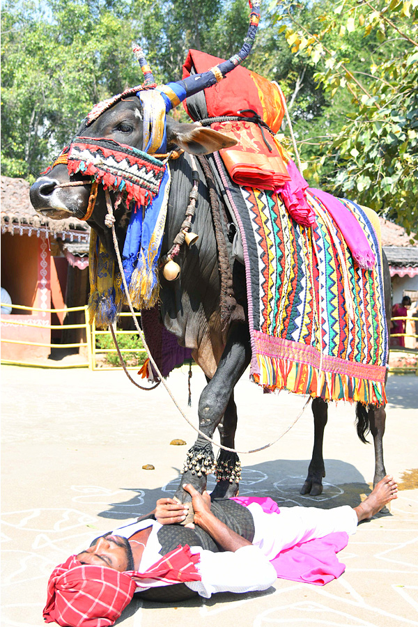 Sankranthi Celebrations In Shilparamam At Hyderabab PHotos - Sakshi9