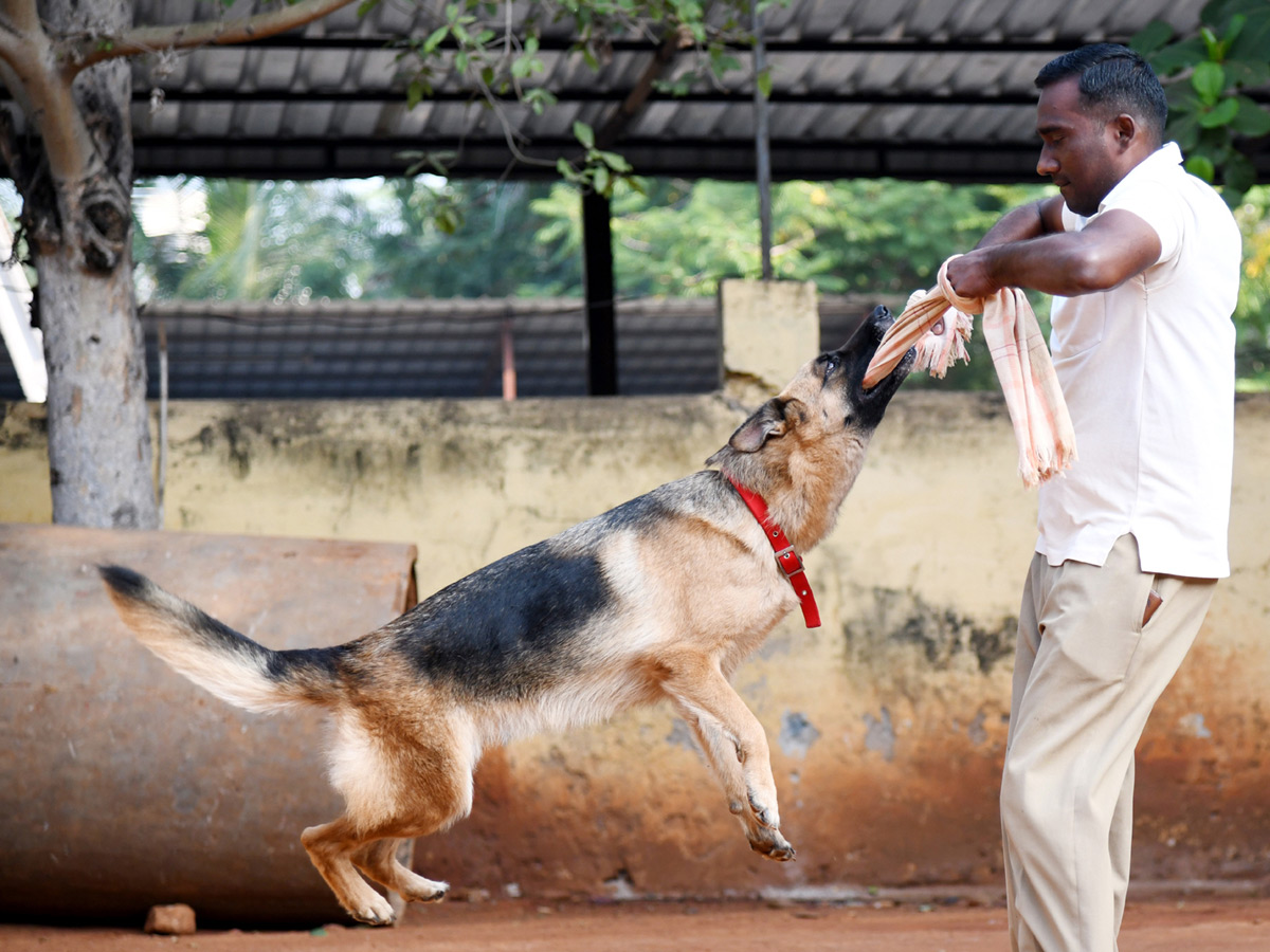 Best Photos Week AP and Telangana Photo Gallery - Sakshi13