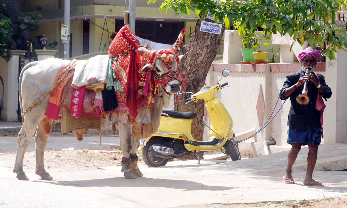 Best Photos Week AP and Telangana Photo Gallery - Sakshi20