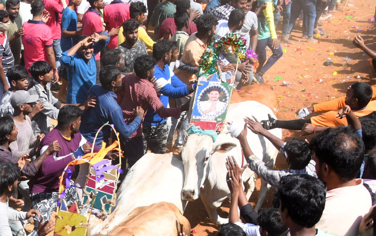 Tamil Nadu: Jallikattu 2023 Event Begins In Madurai - Sakshi10