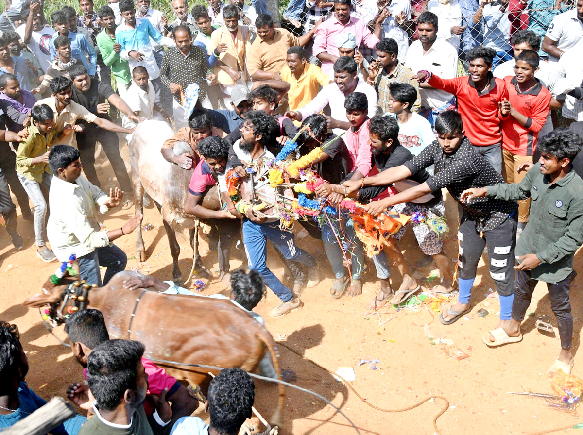 Tamil Nadu: Jallikattu 2023 Event Begins In Madurai - Sakshi12