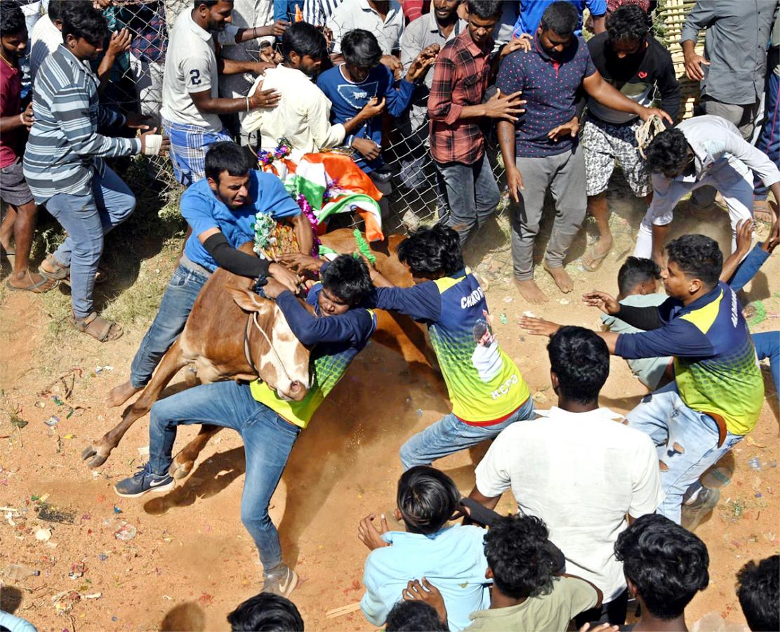 Tamil Nadu: Jallikattu 2023 Event Begins In Madurai - Sakshi2