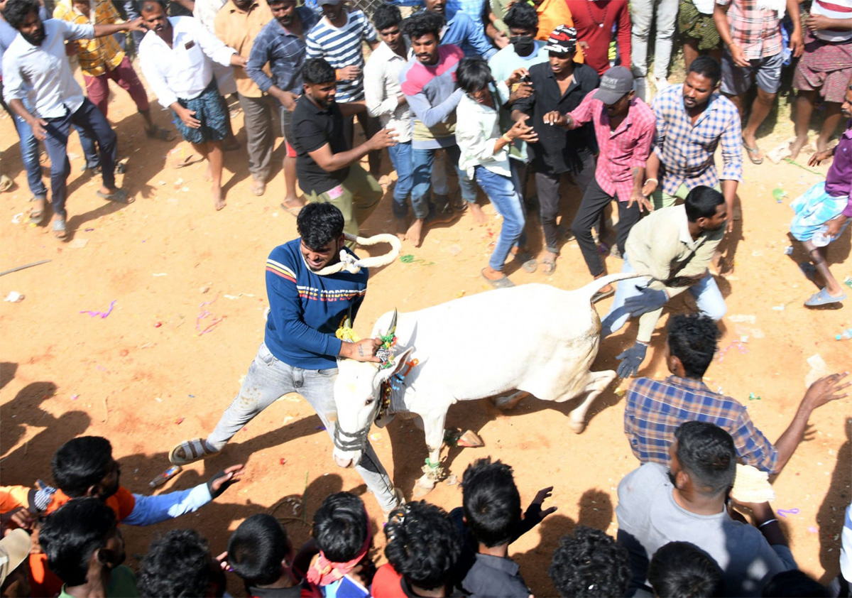 Tamil Nadu: Jallikattu 2023 Event Begins In Madurai - Sakshi20