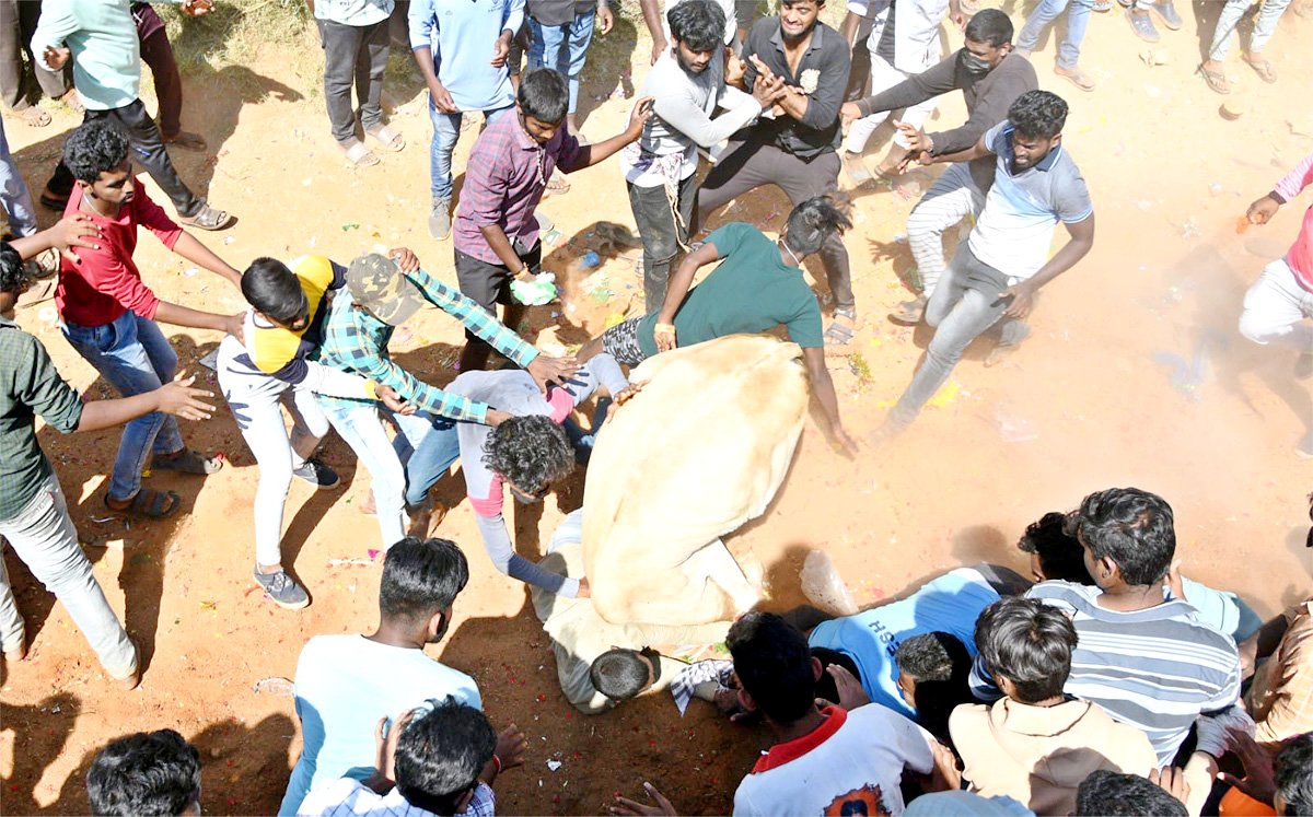 Tamil Nadu: Jallikattu 2023 Event Begins In Madurai - Sakshi4