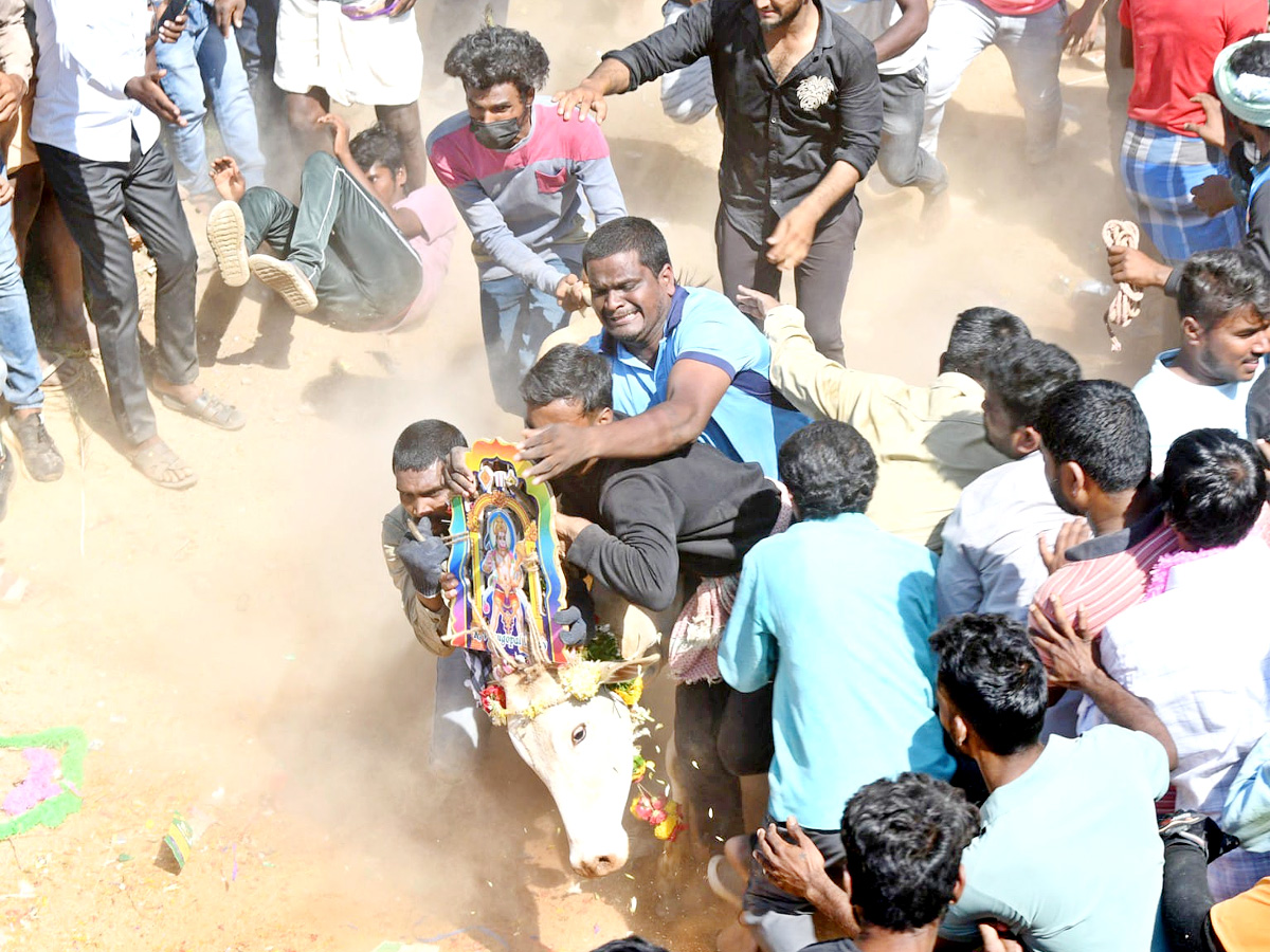 Tamil Nadu: Jallikattu 2023 Event Begins In Madurai - Sakshi5