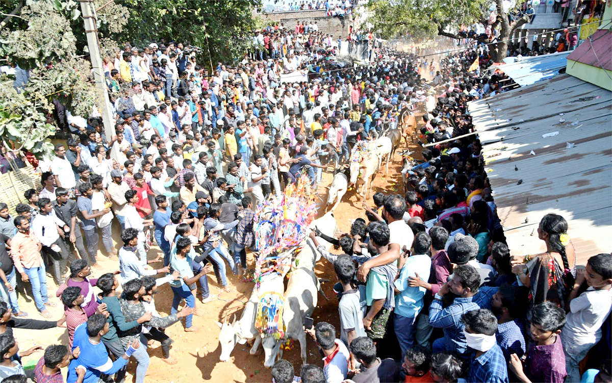 Tamil Nadu: Jallikattu 2023 Event Begins In Madurai - Sakshi6