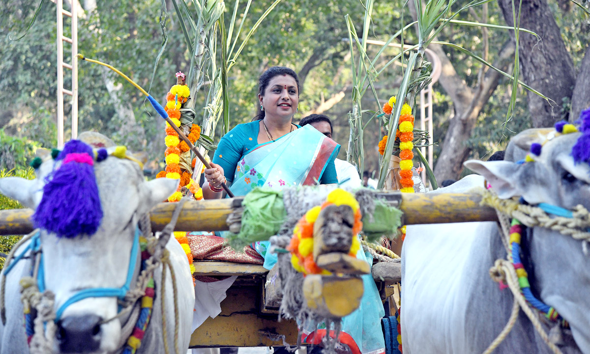 Minister Roja Participated in Sankranti Celebrations  - Sakshi6