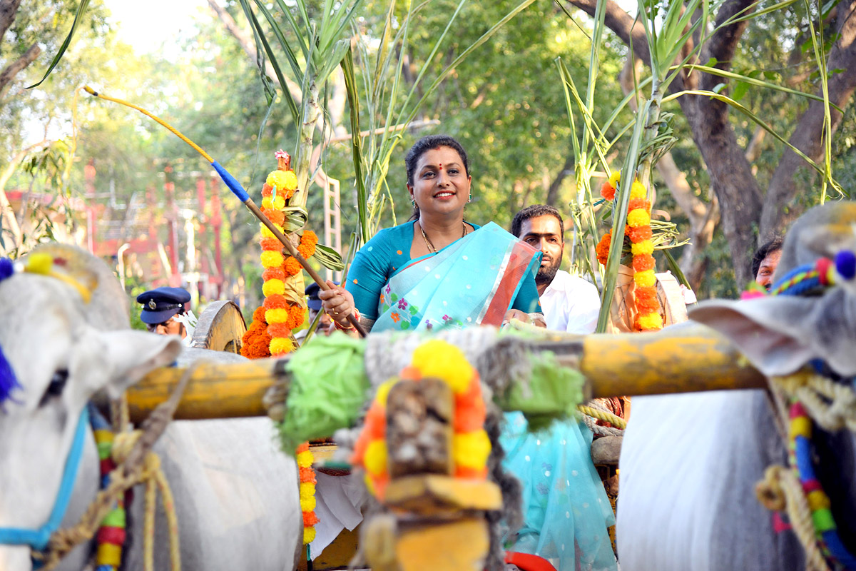 Minister Roja Participated in Sankranti Celebrations  - Sakshi7