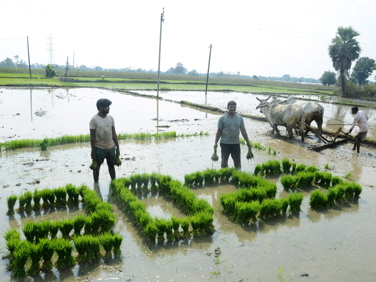 Best Photos of The Week in AP and Telangana 2023 - Sakshi21