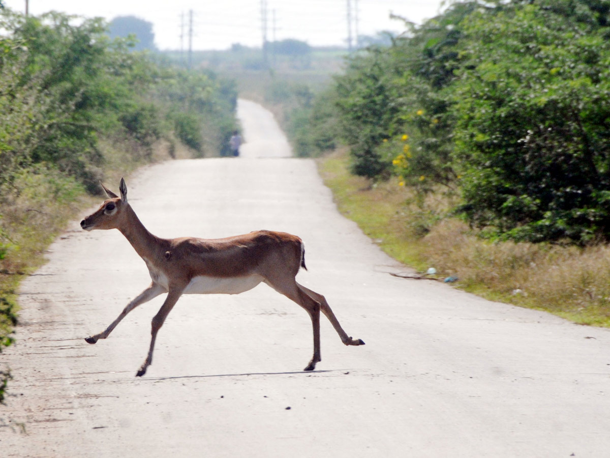 Best Photos of The Week in AP and Telangana 2023 - Sakshi1