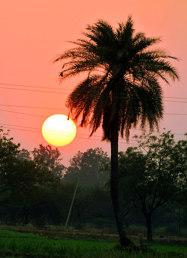 Best Photos of The Week in AP and Telangana 2023 - Sakshi32