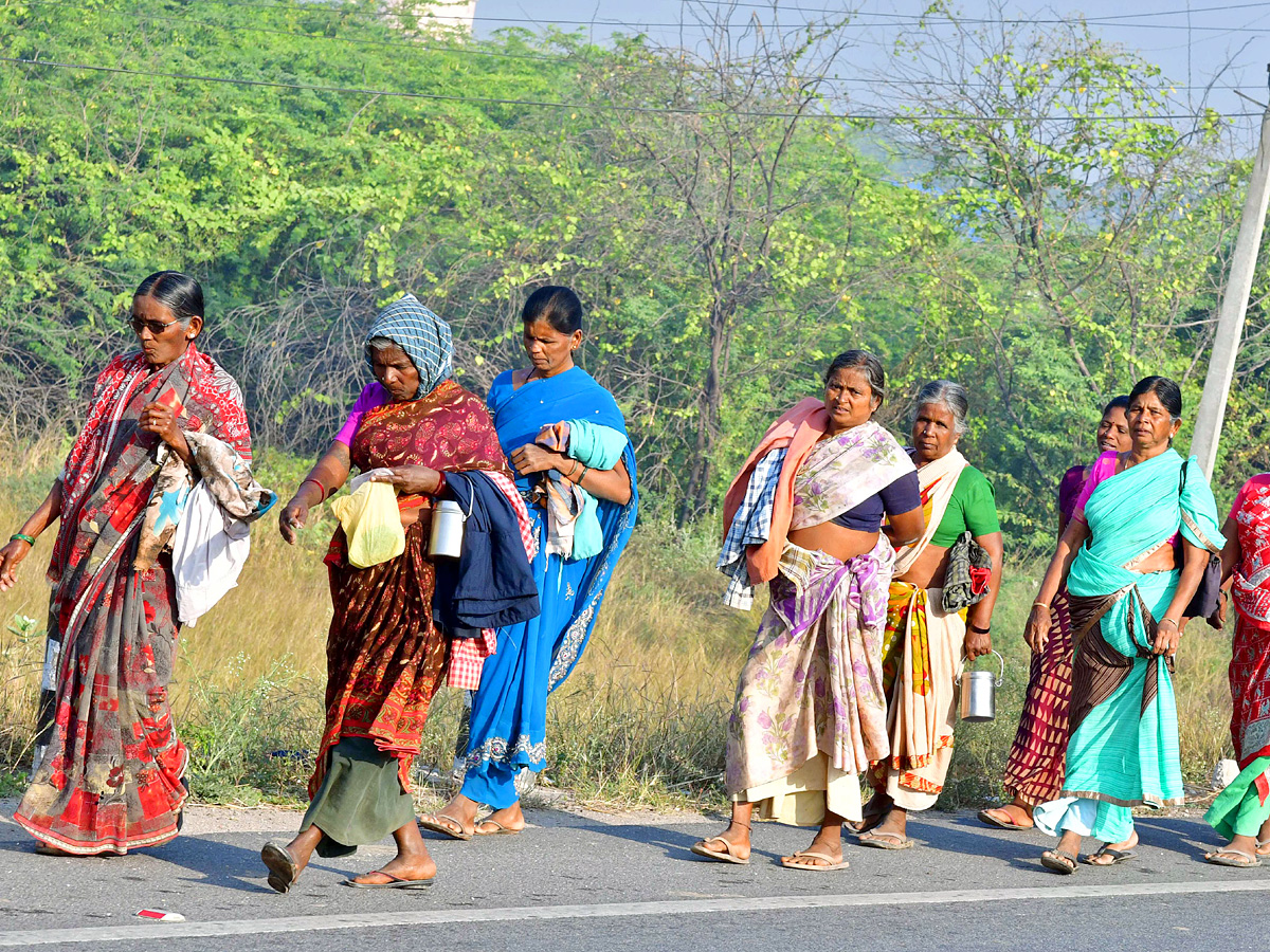 Best Photos of The Week in AP and Telangana Photo Gallery - Sakshi13