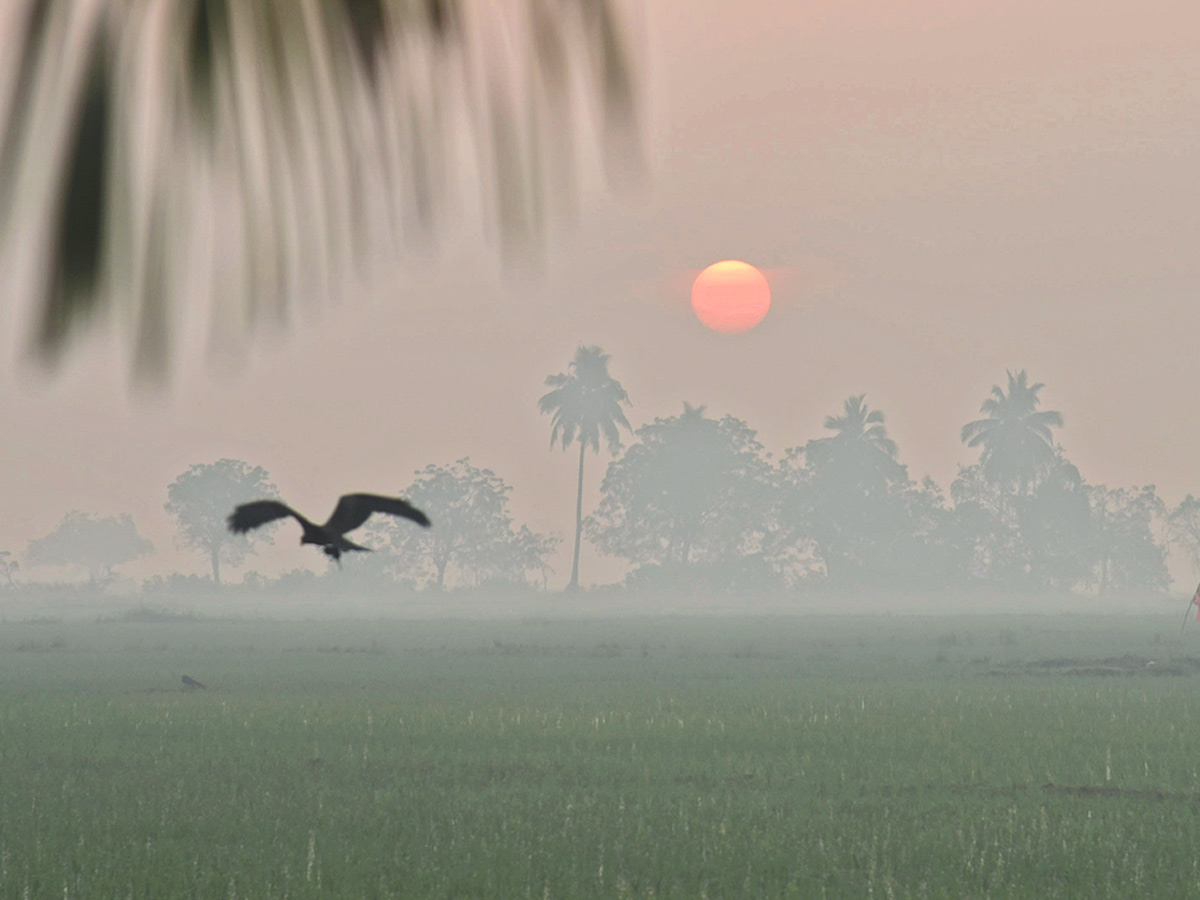 Best Photos of The Week in AP and Telangana Photo Gallery - Sakshi15