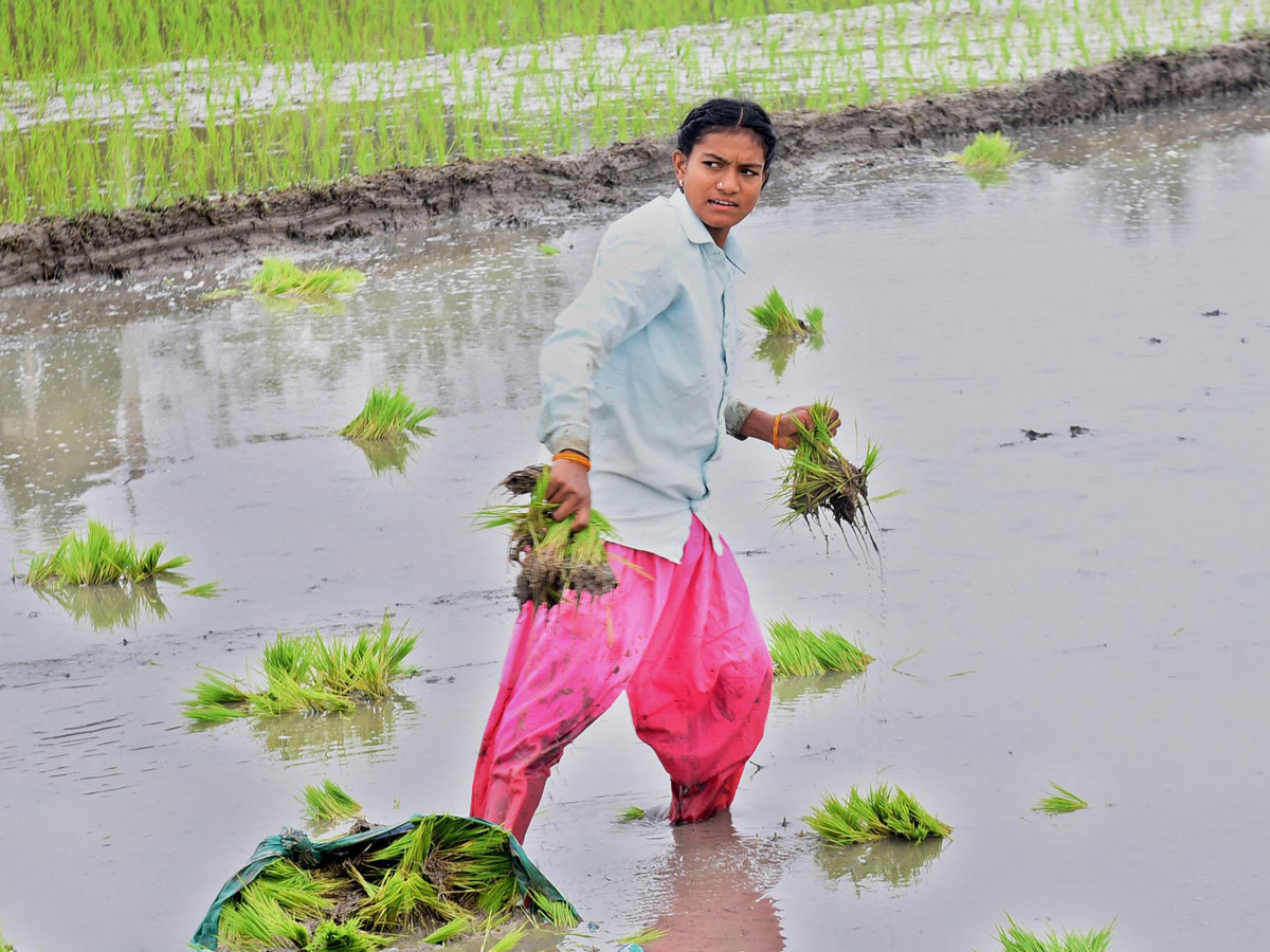 Best Photos of The Week in AP and Telangana Photo Gallery - Sakshi43