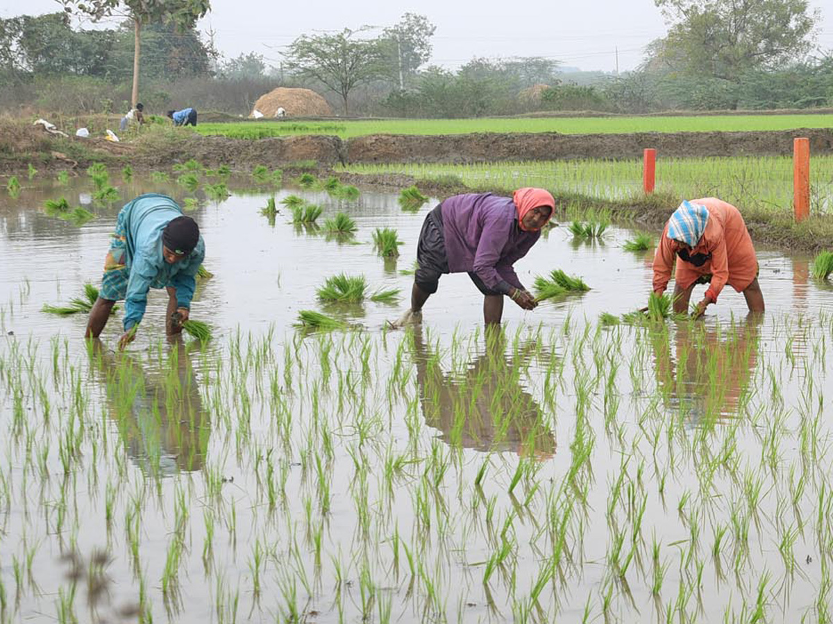 Best Photos of The Week in AP and Telangana Photo Gallery - Sakshi44