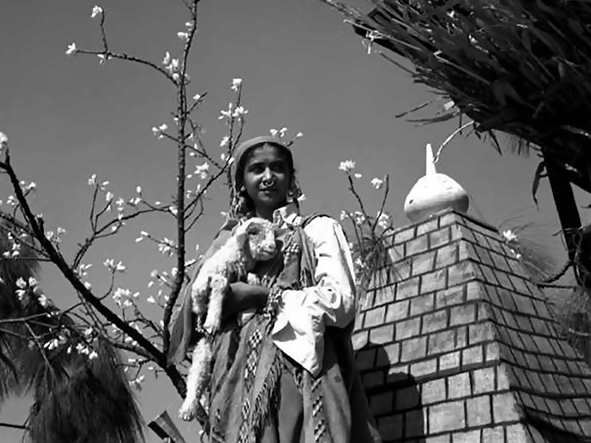 Republic Day 2023: 1st Republic Day Celebrations 1950 Photos - Sakshi7