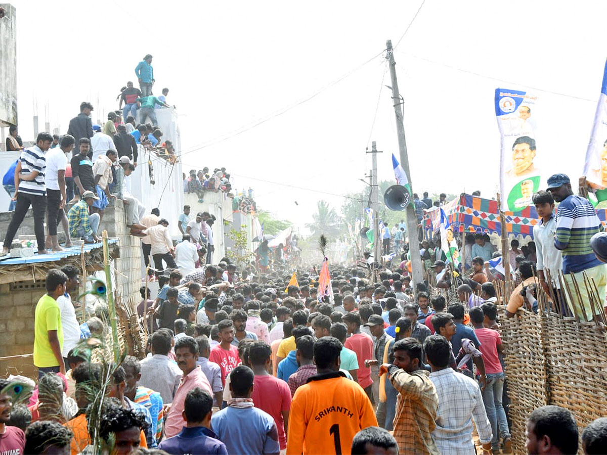 Great Cattle Festival Photos In Ramireddypalli Of Chandragiri - Sakshi23